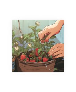 Strawberry Planter